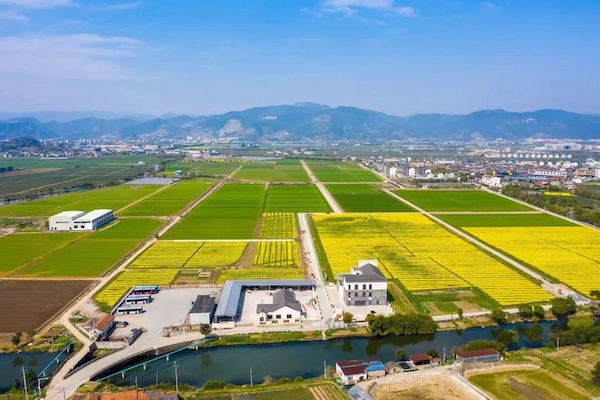 高標準農(nóng)田典型案例集錦丨“豐景”，在希望的田野