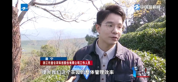 春茶開采正當(dāng)時(shí)！揭秘托普云農(nóng)如何用科技“制”出一杯數(shù)字好茶